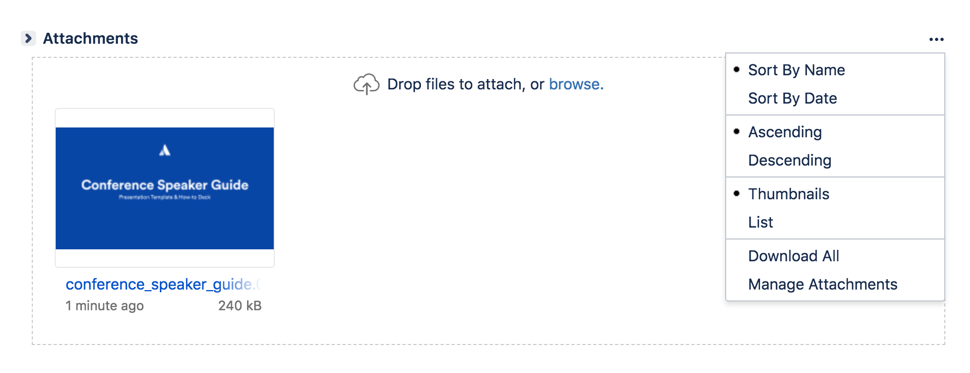 Attachments section of an issue.